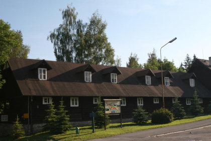 SZWAJCARSKIE DOMKI***
