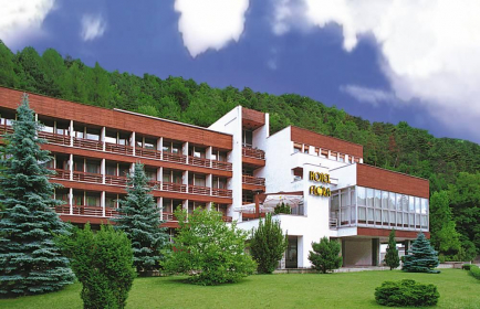         Wellness Hotel FLÓRA***
