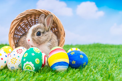         OSTERN BLEIBEN, 4-6 Tage Aufenthalt
