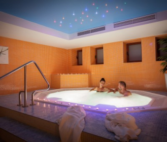         TYGODNIOWY POBYT W HOTELU WELLNESS ALEXANDRA ***, 3 - 5 dniowy pobyt
